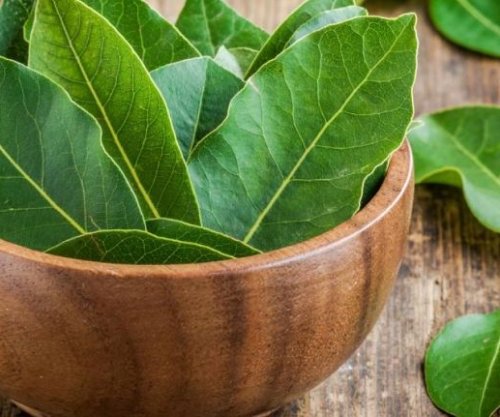 Gjethet e dafinës të mira për tretje dhe kundër diabetit