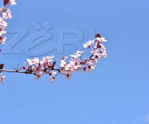 Parashikimi i motit për ditën e sotme