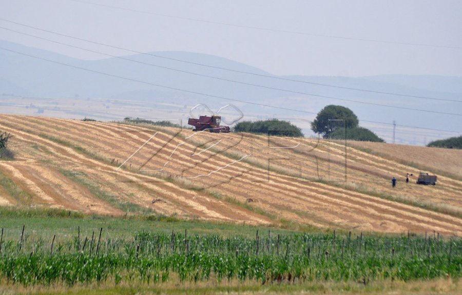 Rriten kostot në bujqësi, plehrat kimike dhe nafta shtrenjtojnë prodhimin bujqësor