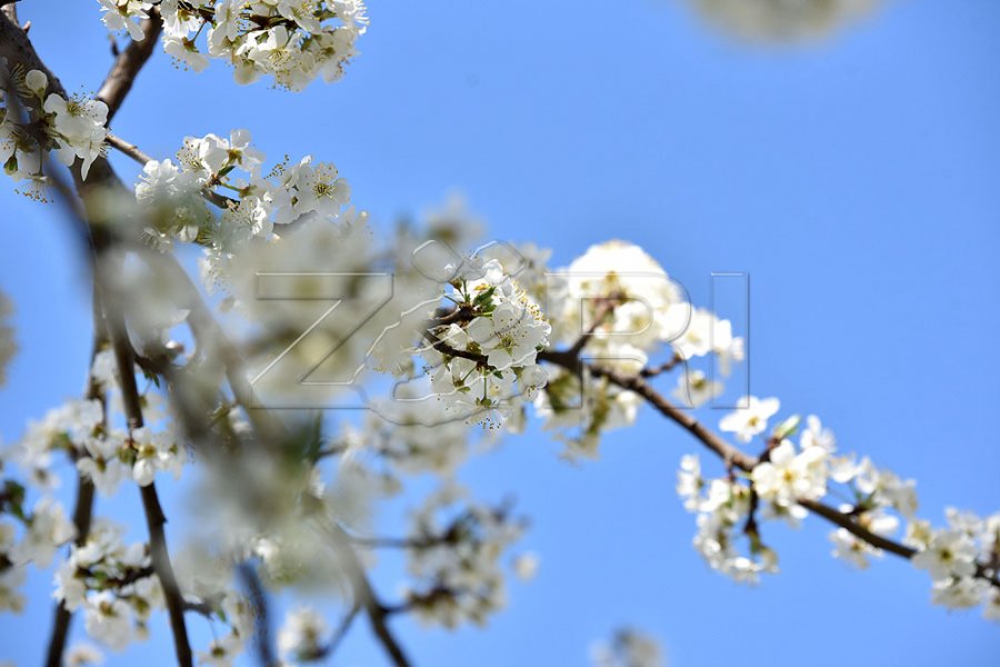 moti-per-diten-e-sotme