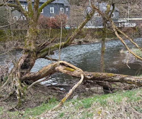 Trevjeçari nga Peja vdes në Gjermani pasi ra në lumë