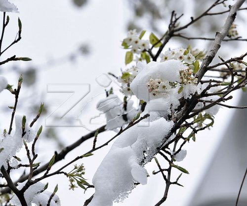 Rikthehet i ftohti, pritet ndryshim i fortë i motit brenda 24 orëve