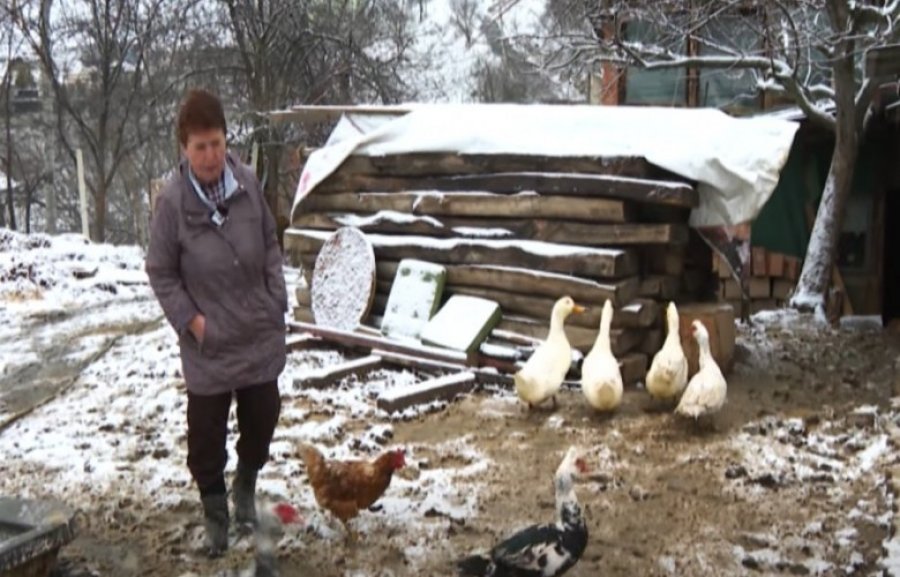 Gruaja që nuk e njeh pensionin  lë Zvicrën dhe hap fermë në Kosovë