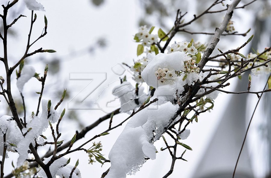 reshje-shiu-dhe-bore-gjate-fundjaves-ihmk-ja-paralajmeron-ngrica-te-rrezikshme-per-bujqesine