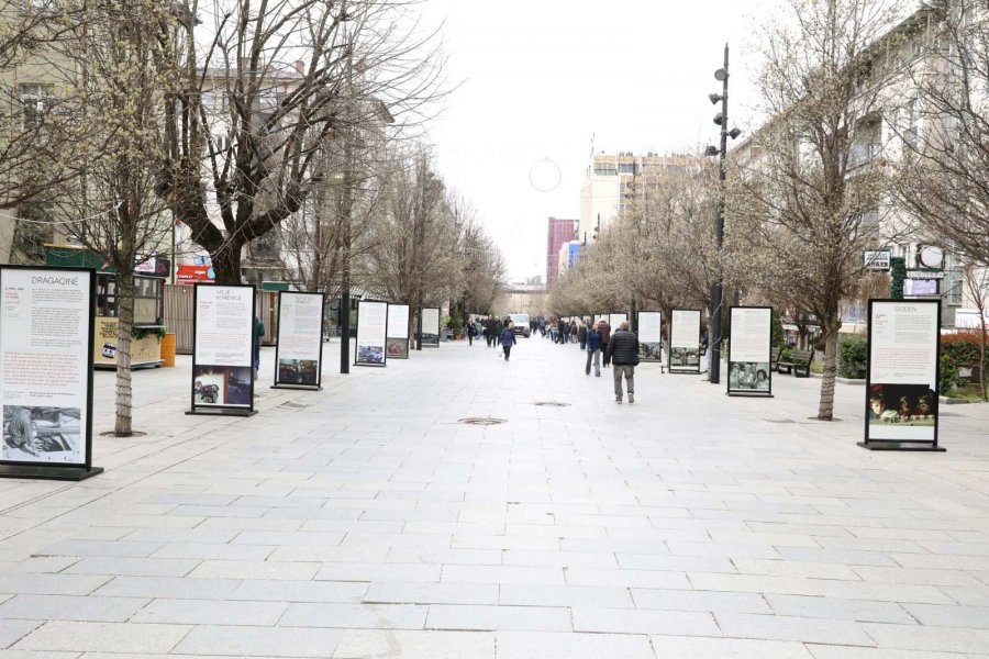 Gashi me një sqarim pas vendimit të Ramës: U mbështetëm në librat e organizatës së Kandiqit