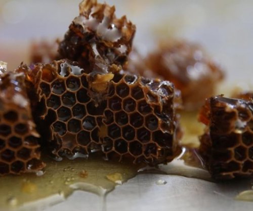 Turqia, prodhuesi i dytë më i madh i mjaltit në botë