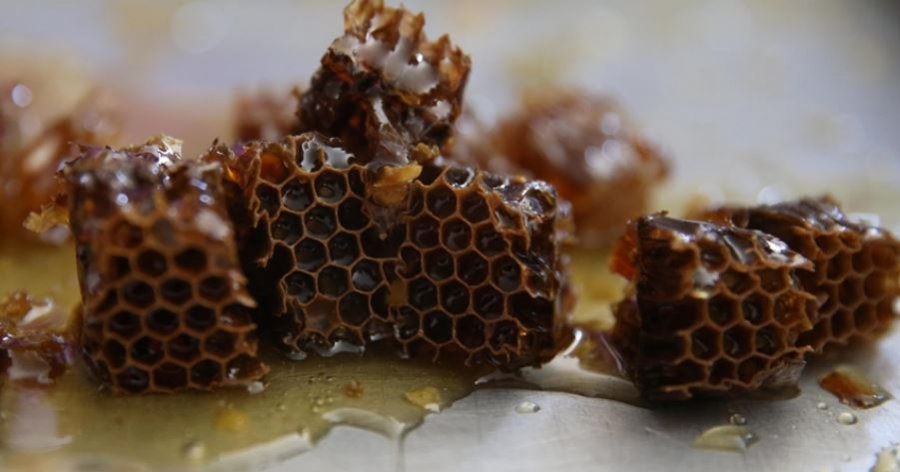 Turqia, prodhuesi i dytë më i madh i mjaltit në botë