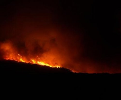 Zjarr i madh në Toskanë të Italisë, evakuohen 3,000 banorë - Zjarrfikësit në luftë me flakët