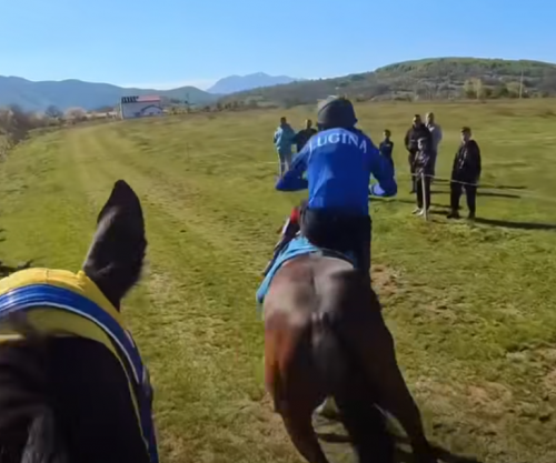 Në Opojë u mbajt gara e kuajve