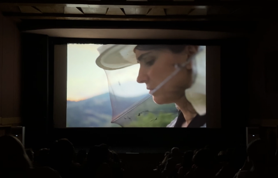 filmi-i-suksesshem-i-kinematografise-kosovare-shfaqet-per-publikun-e-pogradecit