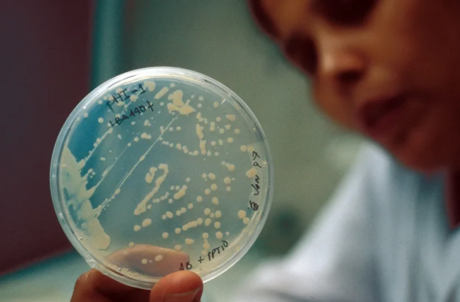 antibiotiket-nuk-rrisin-rrezikun-per-semundjen-celiake