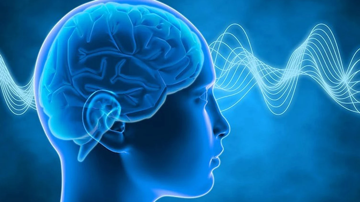 pese-ushqimet-me-te-keqija-per-kujtesen-ja-cfare-duhet-te-shmangni-per-shendet-optimal-te-trurit