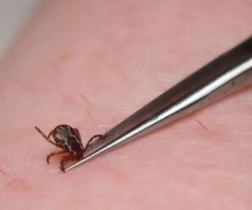 118 raste të pickimeve nga rriqrat në Malishevë, pa raste infektimi