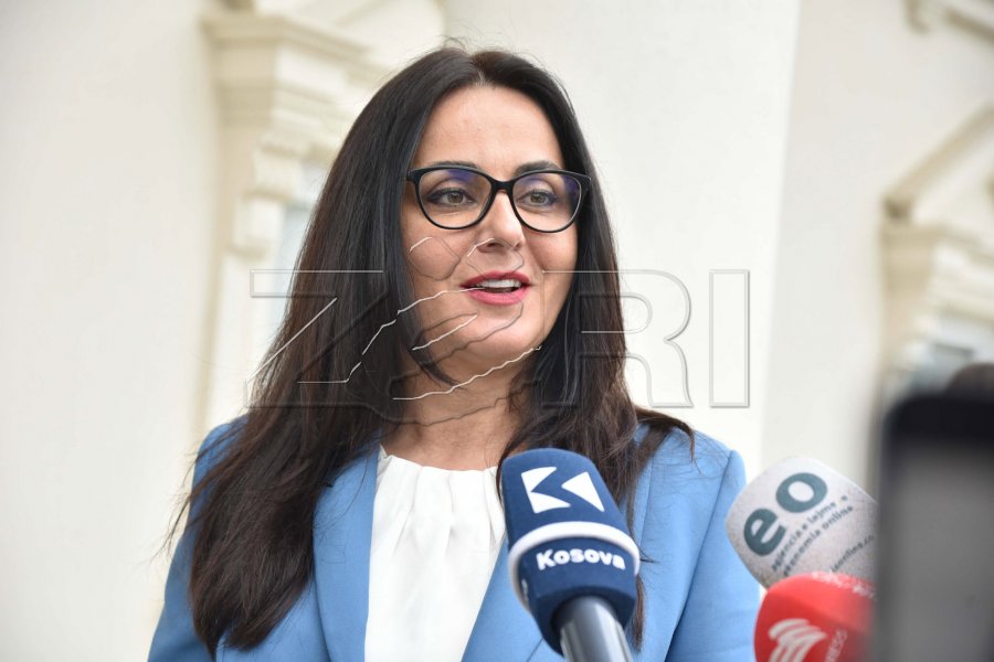 Lushaku Sadriu  Mbledhja e sotme  moment bashkimi për LDK në