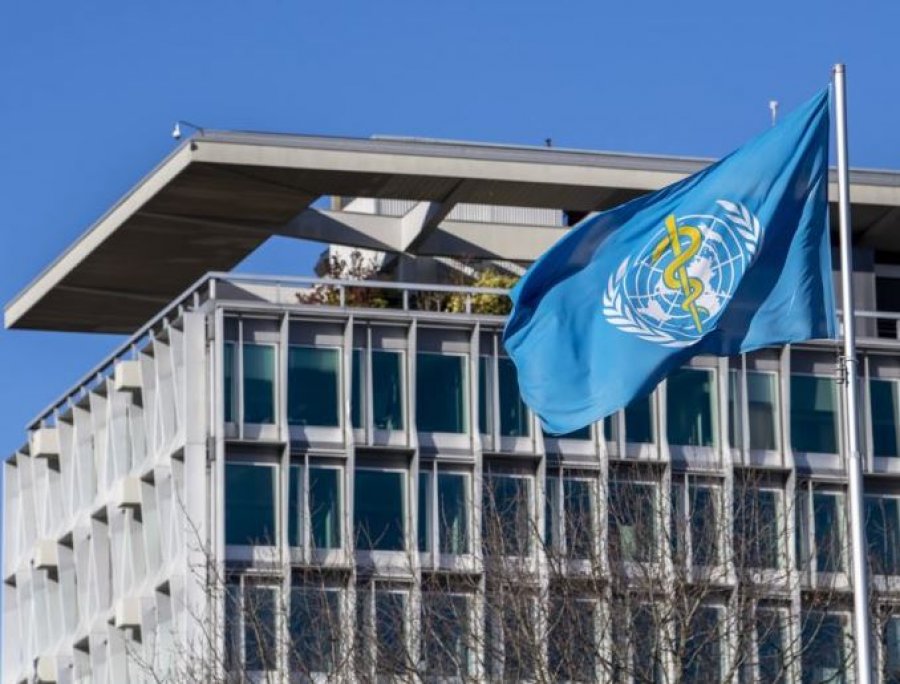 OBSH  Rreziku nga hantavirusi mbetet i ulët