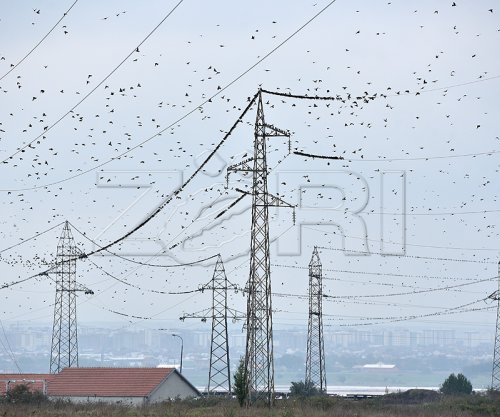 Rizvanolli: Reduktimet e energjisë nuk janë përgjegjësi direkte e Qeverisë, situata në Ferizaj pritet të sanohet më 20 maj