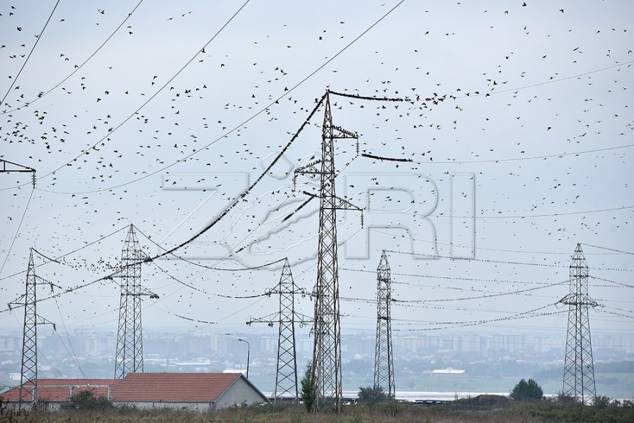 Rizvanolli: Reduktimet e energjisë nuk janë përgjegjësi direkte e Qeverisë, situata në Ferizaj pritet të sanohet më 20 maj