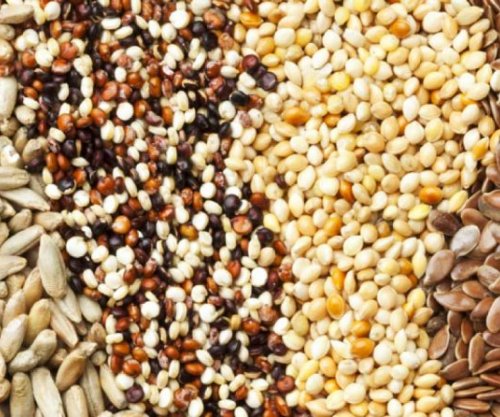 Nutricistët rekomandojnë ngrënien e farave, shkak vlerat ushqyese