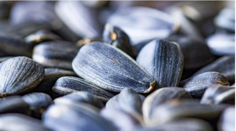 Farat e lulediellit ulin shtypjen e lartë të gjakut