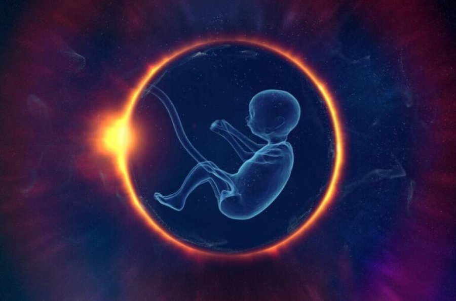 si-ndikojne-fibromat-e-mitres-ne-fertilitet