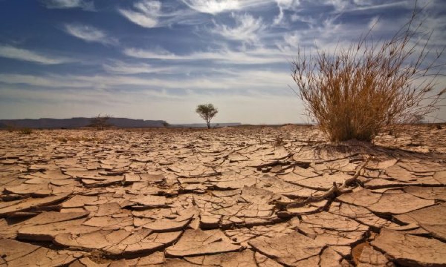 Raporti  Temperaturat globale drejt niveleve rekord në pesë vitet e ardhshme