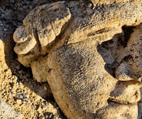 Zbulohen skulptura romake dhe një sistem ujor në një kompleks të lashtë në Francë