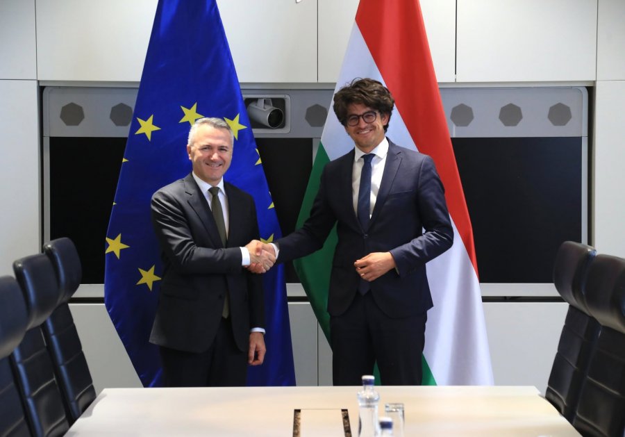 Zulfaj kërkon mbështetjen e Hungarisë për statusin kandidat të Kosovës në BE