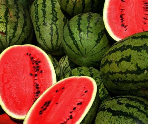 Përfitimet e mrekullueshme shëndetësore nga shalqiri