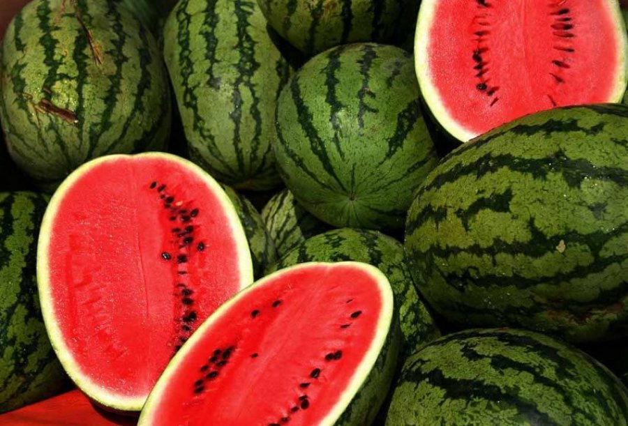 Përfitimet e mrekullueshme shëndetësore nga shalqiri