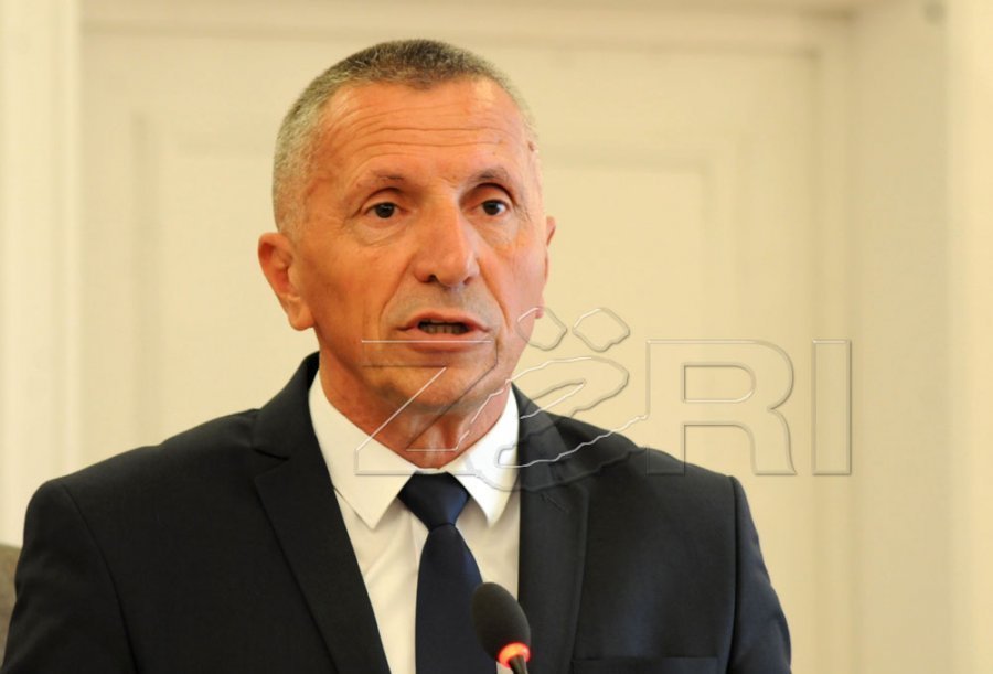 Kamberi dhe Mustafa alarmojnë për diasporën  Vuçiqi po tenton t ua pamundësojë votimin shqiptarëve