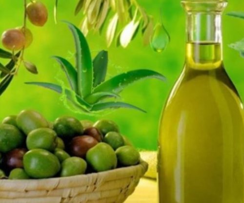 Vaj ulliri dhe Aloe Vera, për një lëkurë të shkëlqyer dhe me elasticitet