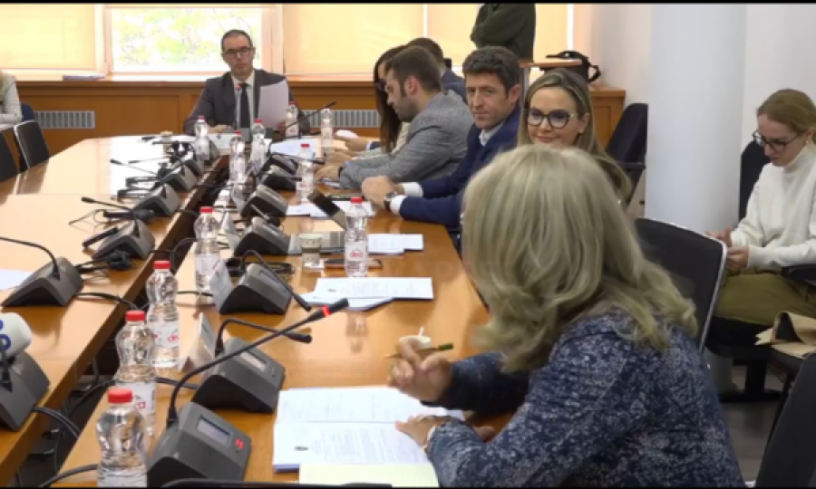 Deputetja e Aleancës përplaset me Nagavcin në Komisionin për Buxhet: Shkelëse e Kushtetutës, s’ke kërkuar as falje