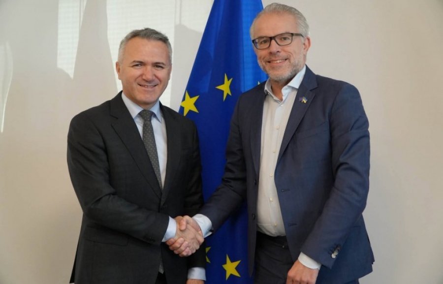 Zulfaj takon eurodeputetin Reuten, diskutohen hapat e Kosovës drejt BE-së