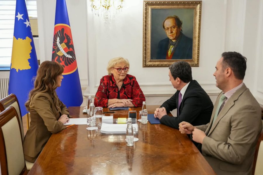 Strategjia për Apelin ndaj ish-krerëve të UÇK-së, temë e diskutimit të Shiroka-Pulës me krerët institucionalë