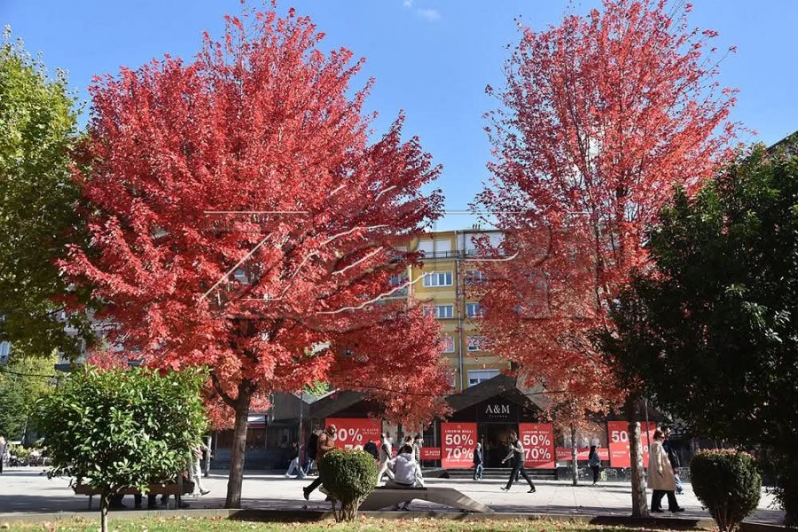 Sot diell dhe vranësira, në disa zona priten reshje shiu