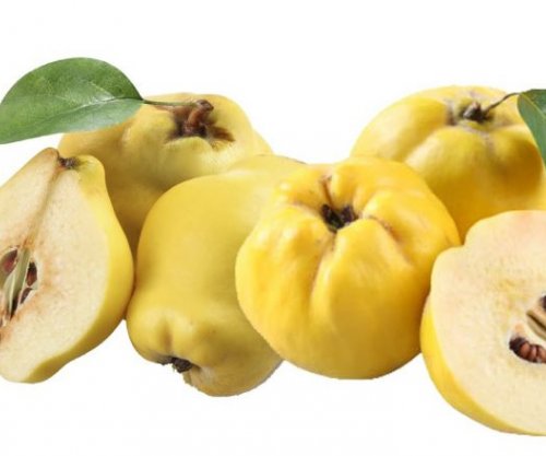 Fruta e stinës, çfarë duhet të dini për ftoin?