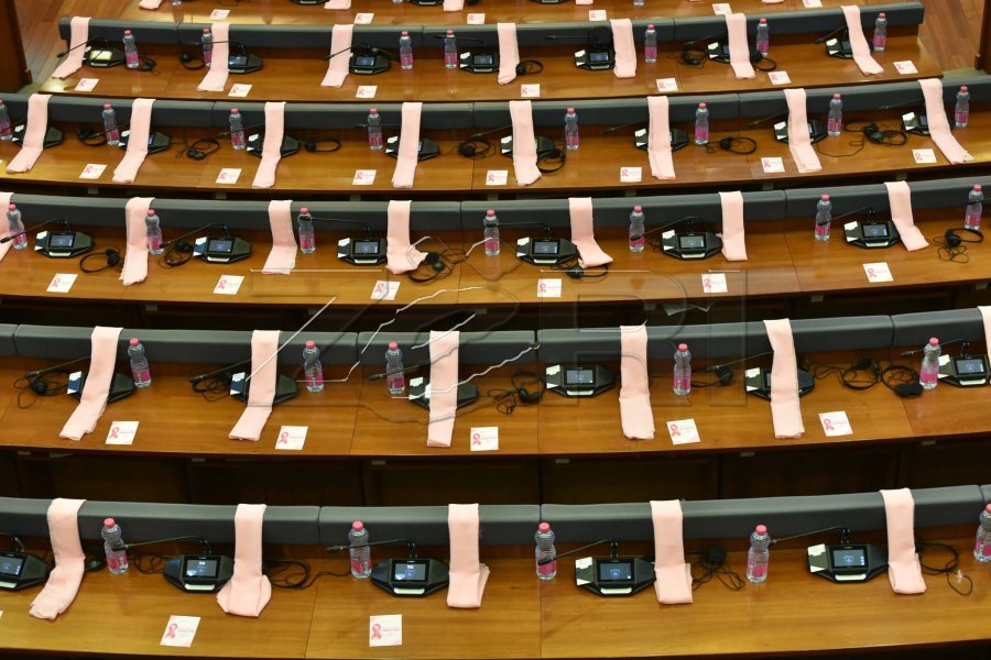 Kuvendi nis seancën plenare, në ulëset e deputetëve vendosen shami rozë për muajin kundër kancerit të gjirit