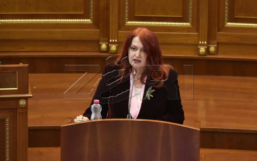 Hoxha: Kosova ta mbrojë të vërtetën e luftës çlirimtare përmes diplomacisë kulturore dhe publike