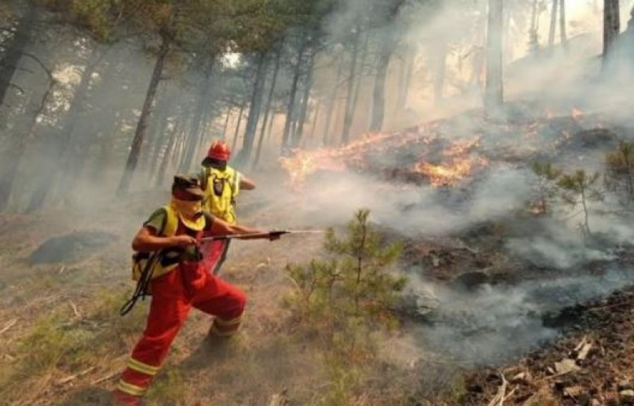 Situata e zjarreve në Shqipëri, raportohen 20 vatra, 4 prej tyre mbeten aktive