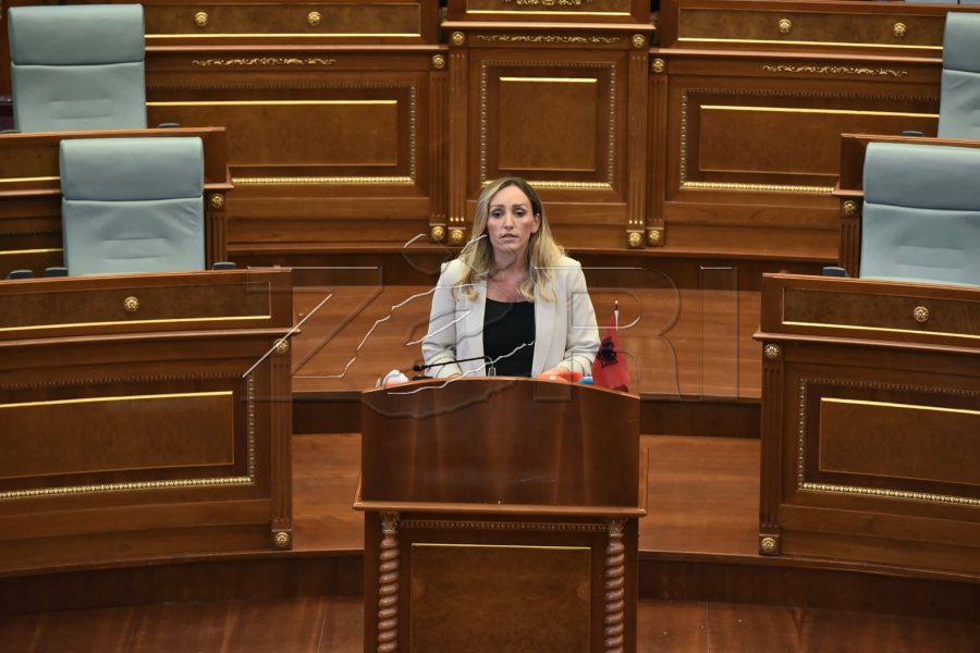Bytyqi: Ujmani aset strategjik, Kosova po përballet me krizë energjetike dhe ikje të të rinjve