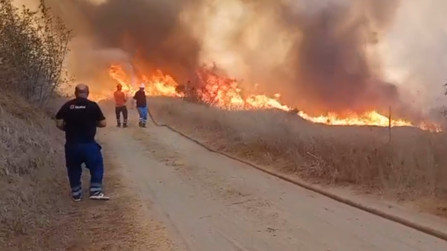 Zjarr pranë liqenit të Levanit, flakët i afrohen rrezikshëm disa lokaleve