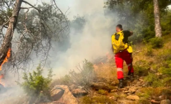 Shqipëri, Ministria e Mbrojtjes: 20 vatra zjarri në vend, 11 mbeten aktive
