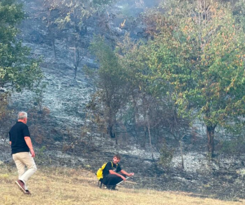 Zjarre masive në malet e Budakovës
