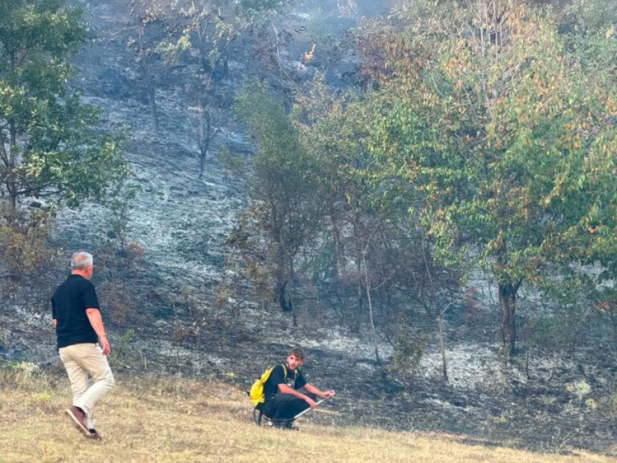 Zjarre masive në malet e Budakovës