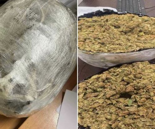 Prangoset shtetasi shqiptar, kapen mbi 2 kilogramë marihuanë në një autobus në Vërmicë