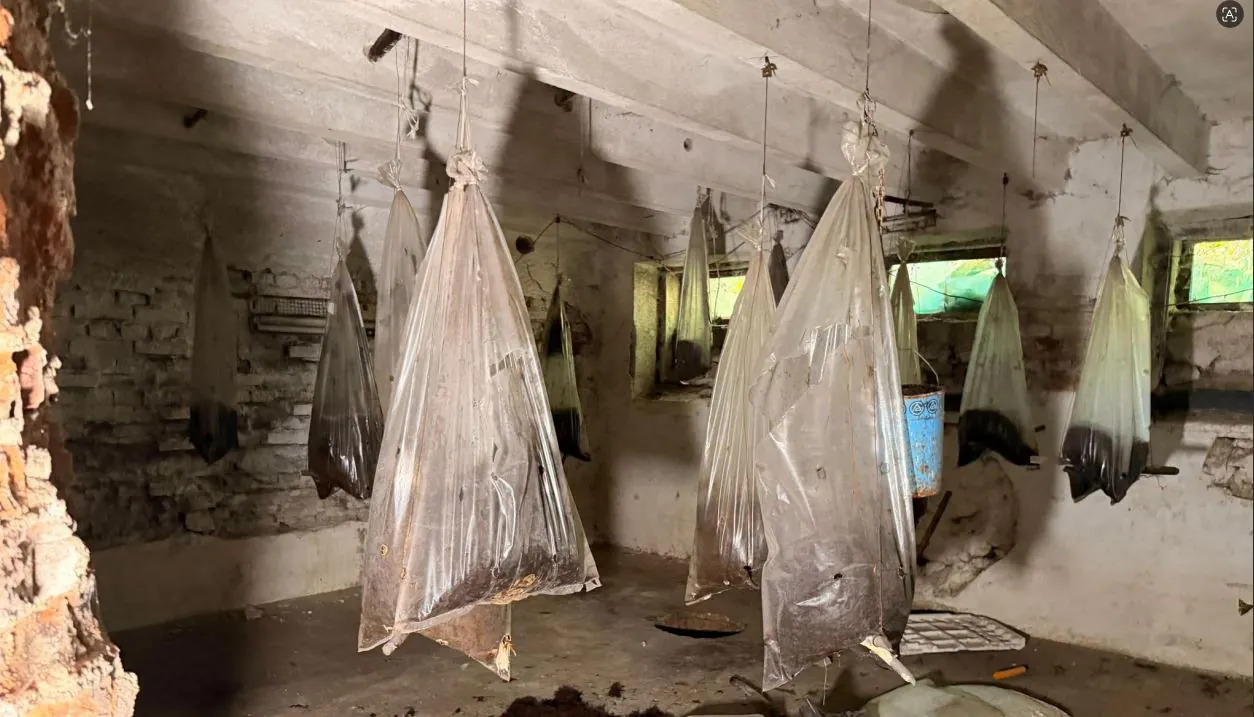 Shiringa e çantë pushke – krejt çka u gjet në objektin ku dyshohet se kultivohej droga në Obiliq