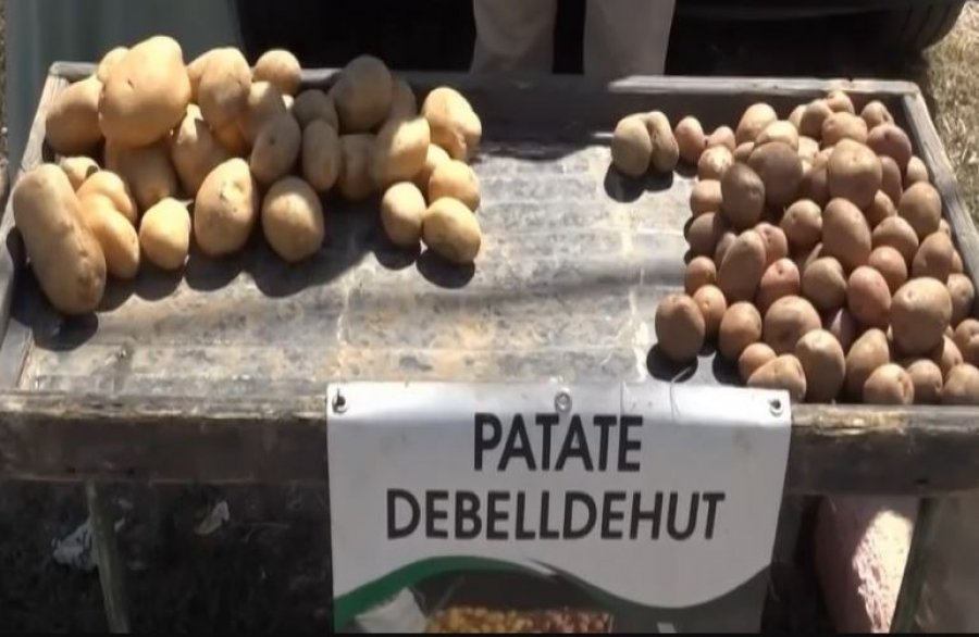 Prodhim ka  por blerësit mungojnë  Fermerët e Vitisë përballen me krizë në treg