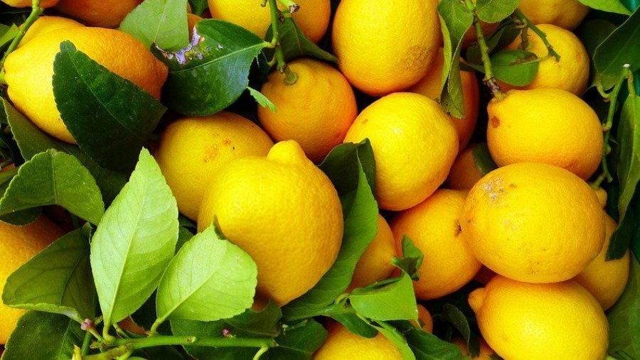 ka-shume-perfitime-nga-vendosja-e-nje-cope-limoni-prane-shtratit