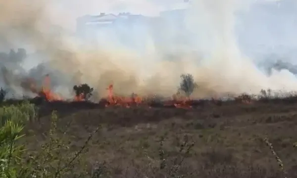 Zjarr në Babicë të Vlorës  flakët rrezikojnë një banesë   ndërhyjnë zjarrfikësit