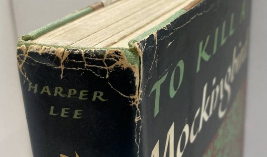 zbulohet-rastesisht-nje-botim-i-rralle-i-to-kill-a-mockingbird-ne-nje-librari-bamiresie